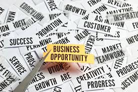 BusinessOpportunity